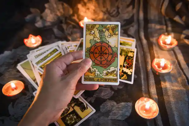 tarot cards Holly Ridge